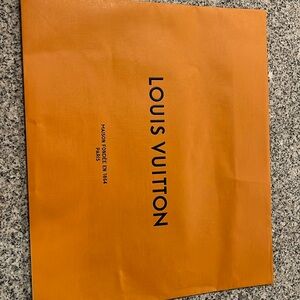 2 Louis Vuitton bags
